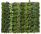 Shop Succulents Verde Succulent Plant Pack Bulk Collection - Live Mini Succulent Plants, Low Maintenance, Mix of Green Succulents & Textures - Wedding and Party Favors, Gift & Garden, Pack of 100