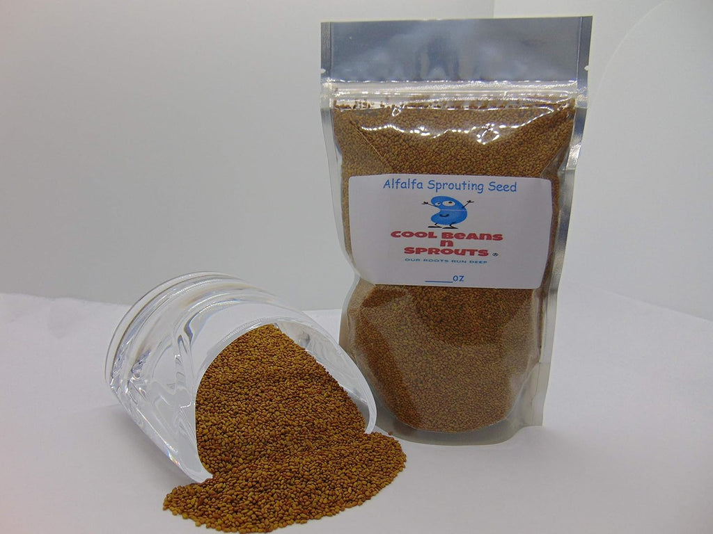 Alfalfa Microgreen seeds-16 oz COOL BEANS n SPROUTS Brand - Home Gardening.