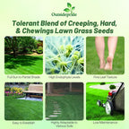 Outsidepride Legacy Fine Fescue Grass Seed Mix - 10 lbs. Shade & Sun Tolerant Blend of Hard Fescue, Chewings Fescue & Creeping Red Fescue with OptiGrowth Coating for Better Establishment