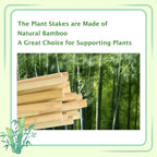 Garden Stakes 4ft, Natural Bamboo Stakes 4 Feet, Thicker Sturdy Plant Stakes 25 Pack for Tomatoes, Beans, Flowers, Potted and More Climbing Plants