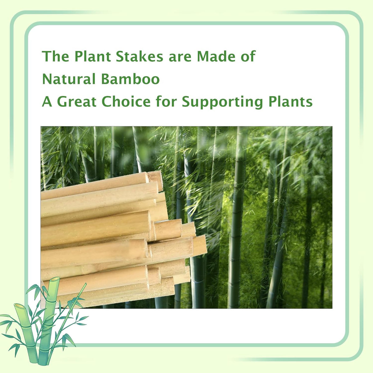 Garden Stakes 4ft, Natural Bamboo Stakes 4 Feet, Thicker Sturdy Plant Stakes 25 Pack for Tomatoes, Beans, Flowers, Potted and More Climbing Plants