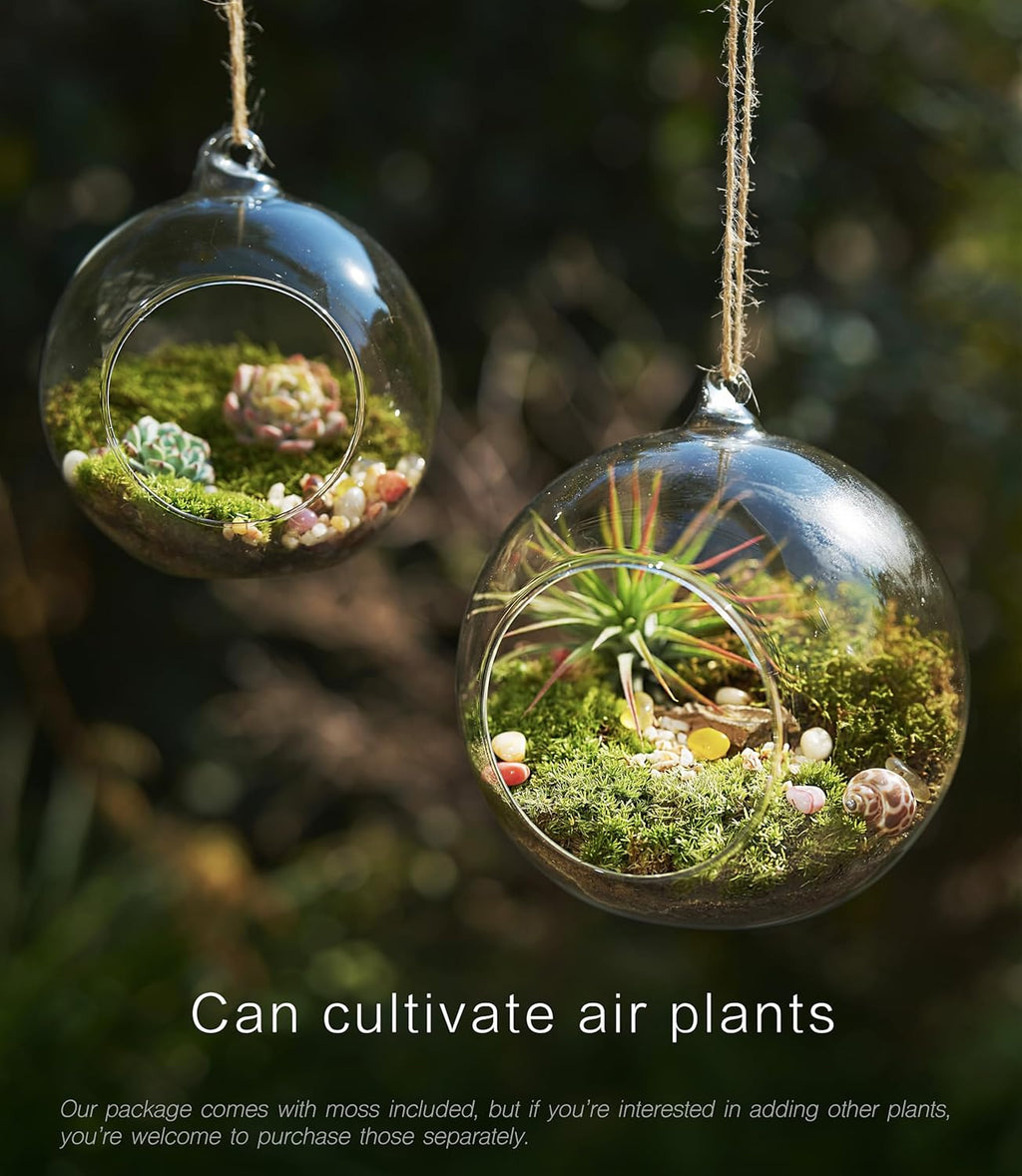 15-Piece Terrarium Kit with Live Moss – DIY Glass Globe Set with Tools, Soil, Stones & Spray Bottle – Indoor Mini Garden Gift for Plant Lovers, Home Decor & Zen Craft
