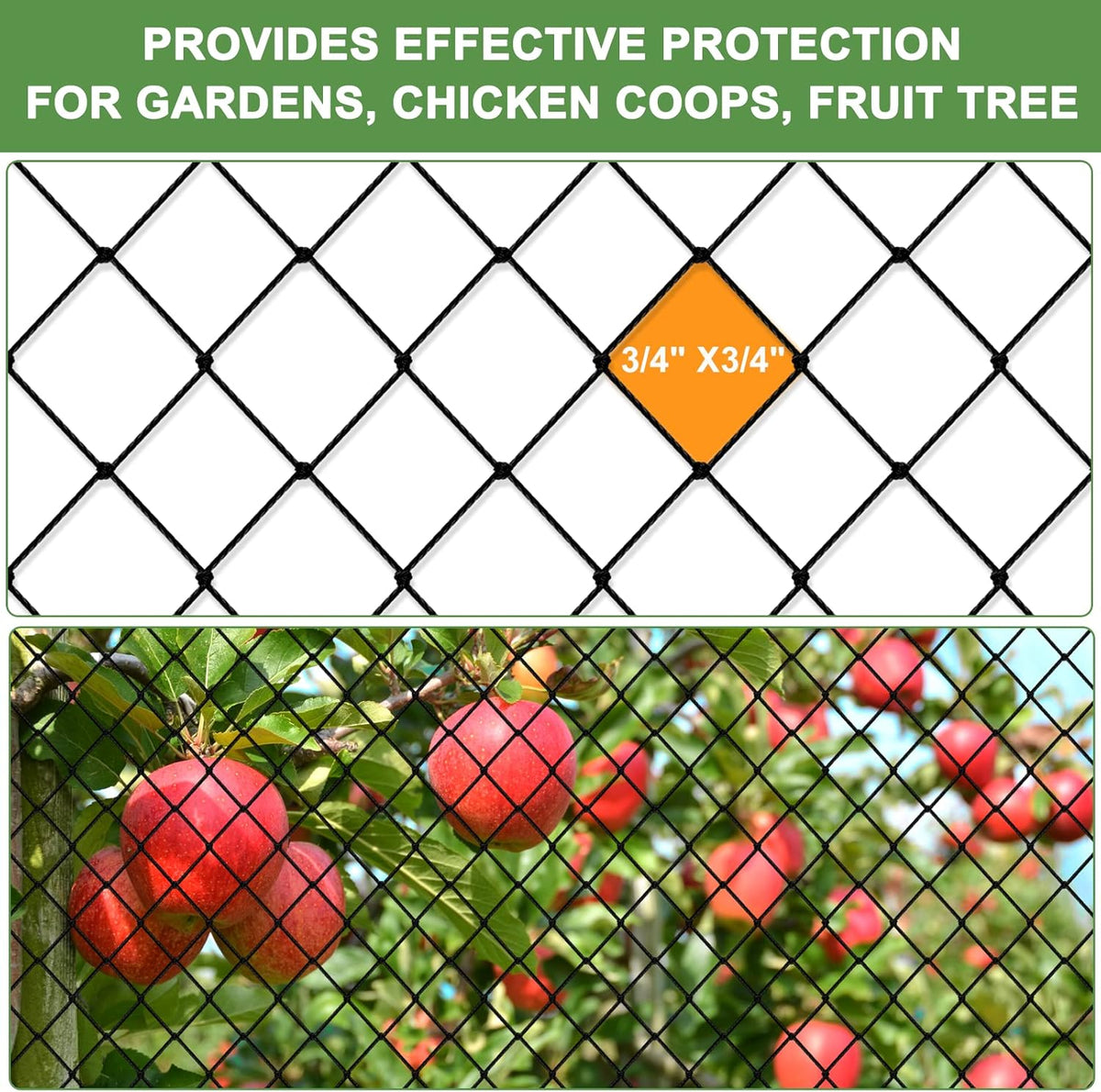 Bird Netting - Garden Poultry Netting with 3/4" Mesh Net, 50x50ft for Chickens, Heavy Duty Nylon for Fruit Tree, Orchard Protection
