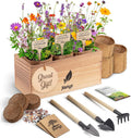 AVERGO Wildflower Seed Mix Growing Kit - Includes Perennial & Annual Wild Flowers, Burlap Planters, Soil, Wooden Box, and Gardening Tools for Indoor Garden and Patio Planting