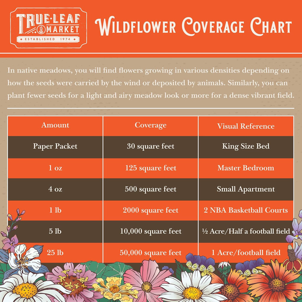 All Annual Wildflower Mix Seed for Planting - 1 Lb ~16,000+ Seeds - 21 Varieties Including California Poppy, Indian Blanket, Scarlet Flax, & More - Attracts Pollinators - Bulk Wildflower Seeds