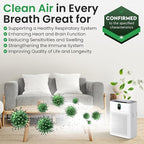 HY4866 Air Purifier Replacement Filter - 4 Pack Compatible with MORENTO, WESTHEY HY4866, YIOU M1 - True HEPA Filter, 4 Stage Filtration, Carbon & Silver Technology