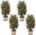 4 Pcs Insect Bird Barrier Tree Net with Drawstring, 4.9 x 3.2 Ft Garden Bird Netting Plant Cover, Fruit Tree Netting for Protect Plants Fruits Flowers from Insect Bird Eating