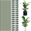 50Pcs Plant Stake Clip Set Green, Plant Sticks Supplies Support Tall, Useful Support Clips, Fine Workmanship Allow Bending Suitable for Various Plant Pots Indoors and Outdoors