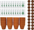 BUZZY Seeds Terracotta Mini Grow Pots | Herb, Plant, Flower Starter Kit for Kids & Adults | Assorted 20-Pack, | Lavender Seeds Guaranteed to Grow | Indoor Grow Your Own Plant Gardening Gift