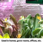 TEXALAN(R) Diamond Film Foil Roll Highly Reflective Mylar Film Roll for Grow Room 4X25FT 6 Mil