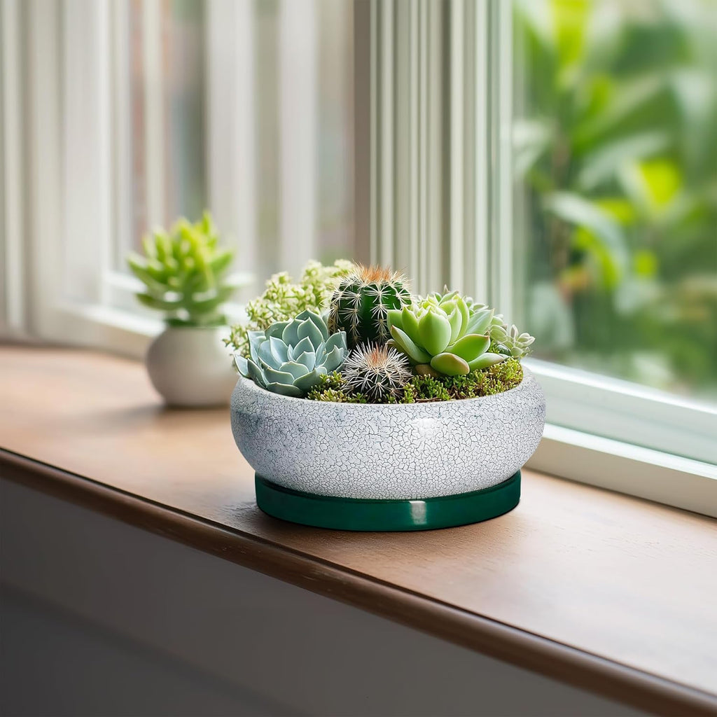 Succulent Pots - 6 Inch Ceramic Pots for Succulent Indoor Outdoor, Small Plant Pot with Drainage Hole and Saucer, Bonsai Pot, Modern Round Planter, Window Decor, Housewarming Gifts, Green