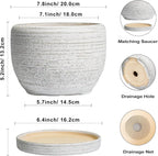 SQOWL Ceramic Plant Pots - 8 inch Planter for Indoor Plants, Round Flower Pot with Drainage Hole and Plant Saucer, Modern Decorative Ceramic Planter Outdoor, Home Room Decor, Garden Gifts, Gray