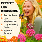 Mix Milkweed Seeds for Monarch Butterflies - 6 Individual Varieties Perennial Wildflower (120 Seeds per Pack) Colorful Pollinator Garden, Easy to Grow for Backyard & More (Mix Milkweed Seeds)
