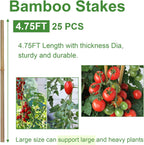 Bamboo Garden Stakes 57 Inch 25pcs, 1/2" Dia Plant Stakes 5ft Approx for Indoor Outdoor Plants, Support Tomato, Cucumber, Beans and More Climbing Plants