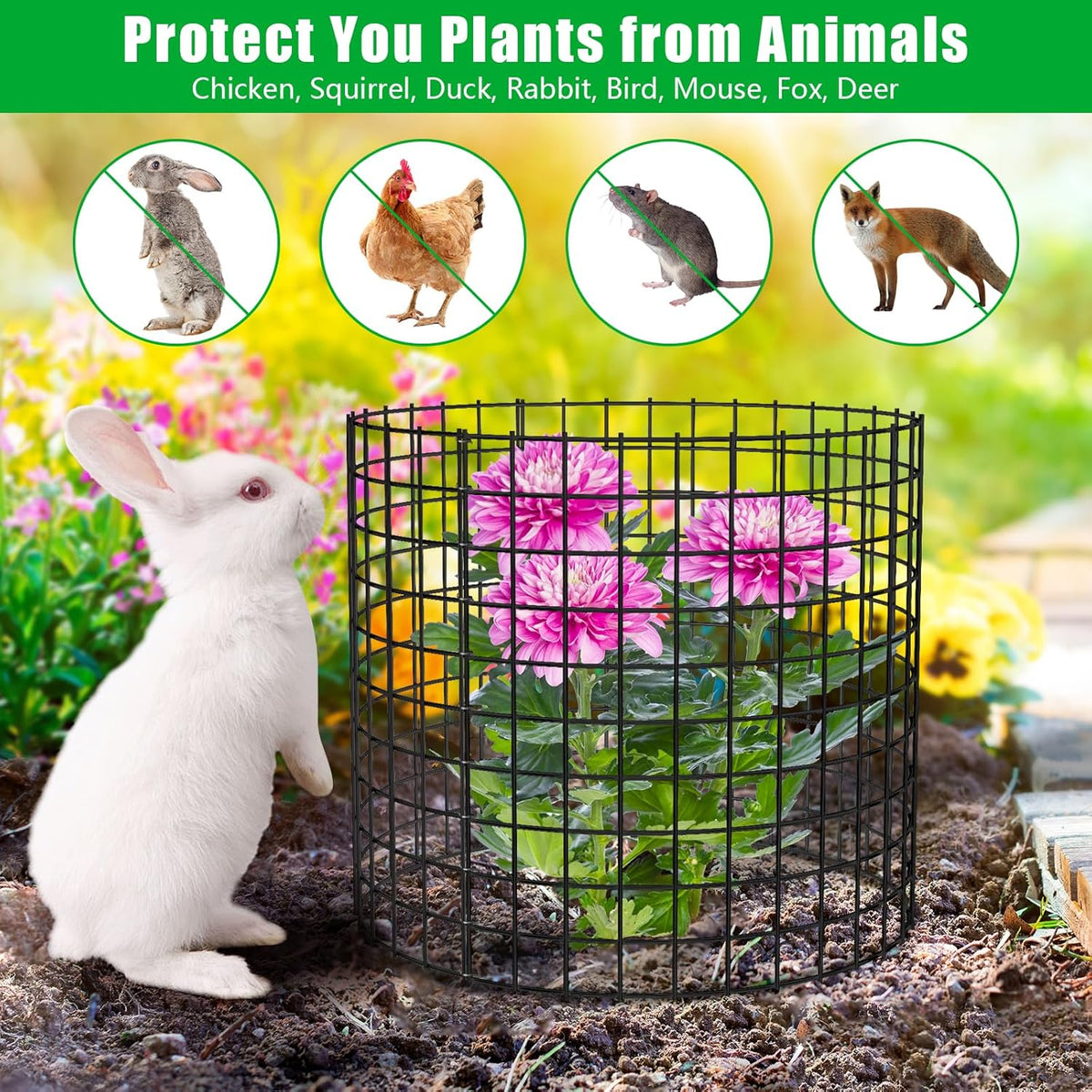 10 Pack Plant Protector from Animals, 13x12 inch Wire Plant Cages Mesh Plant Cage Garden Plant Protector, Sturdy Bunny Barricades Chicken Wire Cloche Plant Protectors for Keeping Bunny Animals Out