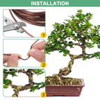 2.5mm Bonsai Training Wire, 16.4 Feet Total Anodized Aluminum Bonsai Wires for Bonsai Tree Shaping/Branches Fixing/Trunk Holding/DIY Crafting [Silver]
