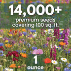 Shade Tolerant Mix – 14,000 Wildflower Seeds for Pollinator Gardens – 2026 Season – 1 Ounce Pouch