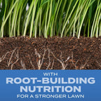 Scotts Turf Builder Grass Seed Sun and Shade Mix with Fertilizer and Soil Improver, Thrives in Many Conditions, 16 lbs.