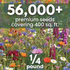 Shade Tolerant Mix – 56,000 Wildflower Seeds for Pollinator Gardens – 2026 Season – 4 Ounce Pouch