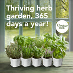 Garden Pack 10 Herb Indoor Window Herb Garden - Includes Pots, Trays, and Compressed Soil for Easy Indoor Herb Growing - Perfect Kitchen Herb Garden Starter Kit for Beginners and Gifts