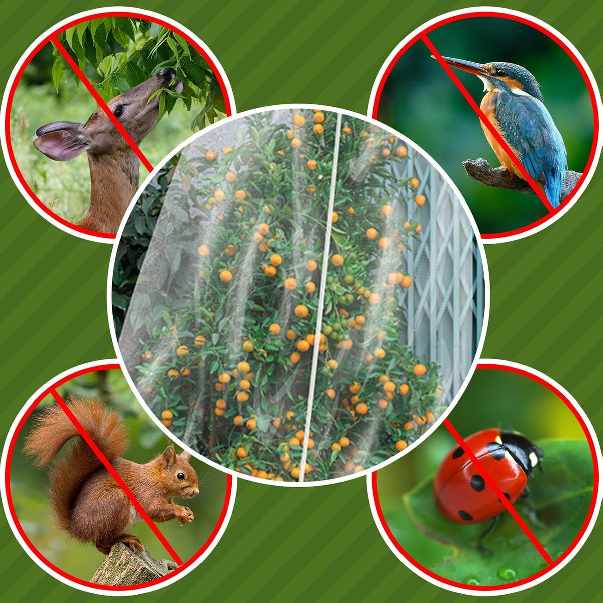 TWOWYHI 2Pack Garden Netting 8.2X8.2 Feet Large Fruit Tree Netting with Zipper and Drawstring Insect Bird Cover for Fruits Vegetables Tree Garden Protection