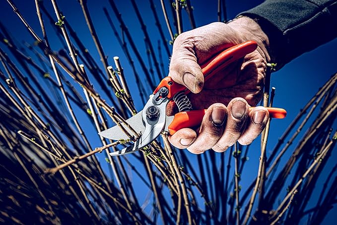 Original LÖWE Bypass Pruner Garden Tools 14.104 | Use as Pruners, Hedge Trimmer, Garden Shears, Pruning Shears for Gardening | For cutting roses, twigs, branches, and cut flowers | Made in Germany