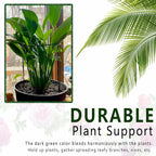 6 Pack Plant Support Stakes, Metal Monstera Plant Support Stakes for Indoor Plants, Large Garden Plant Support Ring, Tomato Cage, Tall Plant Holder Sticks (10" W X 15.8" H)
