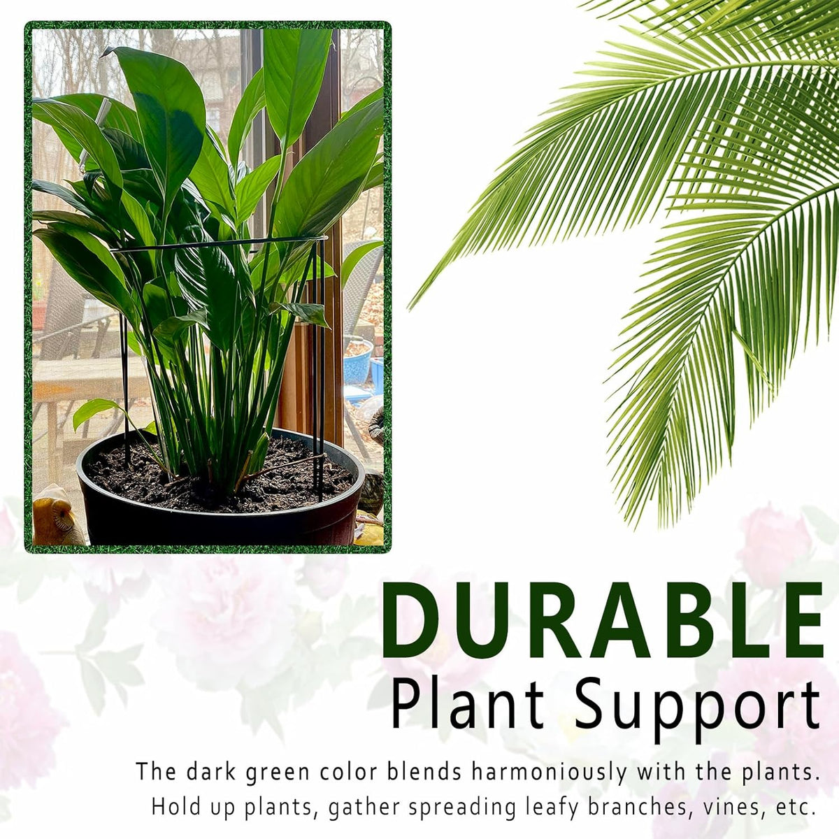 6 Pack Plant Support Stakes, Metal Monstera Plant Support Stakes for Indoor Plants, Large Garden Plant Support Ring, Tomato Cage, Tall Plant Holder Sticks (10" W X 15.8" H)