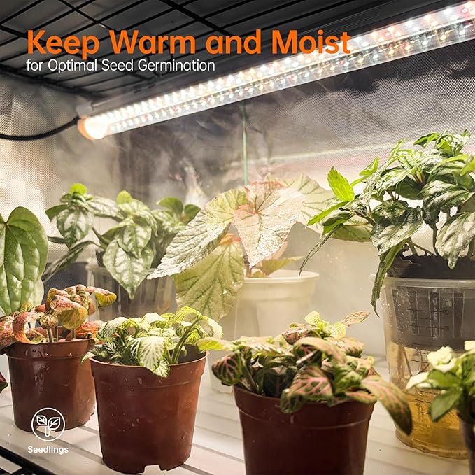 Bstrip Indoor Greenhouse with Grow Light, Plant Stand with 4 Pack 24W Full Spectrum Plant Lights , Plant Shelf with Tent for Indoor Plant, Seed Starting, Seed Tray, 29.5"x13.8"x59"
