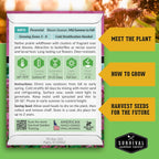 Survival Garden Seeds - Spotted Joe Pye Weed Seeds for Planting | Eutrochium maculatum | Butterfly Magnet | Perennial North American Native Wildflower - 1 Pack