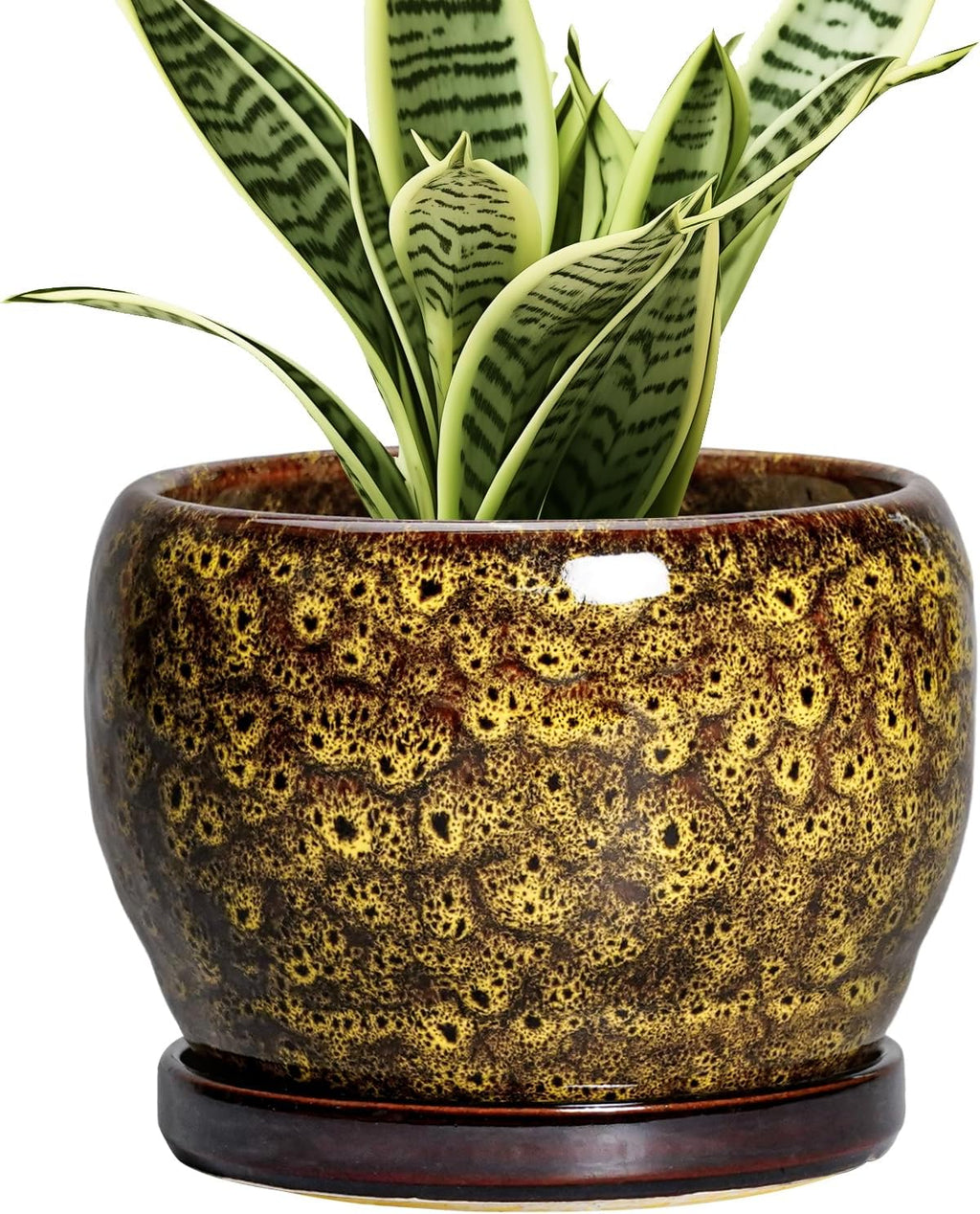 SQOWL 6 Inch Plant Pot - Ceramic Flower Pots with Drainage Hole and Saucer, Ceramic Planter for Indoor Plants Outdoor, Round Decorative Small Planter, Table Desk Decor, Housewarming Gifts, Yellow