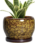 SQOWL 6 Inch Plant Pot - Ceramic Flower Pots with Drainage Hole and Saucer, Ceramic Planter for Indoor Plants Outdoor, Round Decorative Small Planter, Table Desk Decor, Housewarming Gifts, Yellow