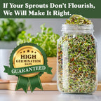 Seedboy Organic Non-GMO Sprouting Seeds, Longevity Blend – USA Grown Microgreens Mix with Broccoli, Red Kale, Black Kale, Alfalfa - 8 oz Bag Makes 6 Quarts / 20 Servings (Longevity Blend)
