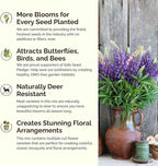Eden Brothers Arkansas Wildflower Mixed Seeds for Planting, 1 oz, 30,000+ Seeds with African Daisy, Cosmos | Attracts Pollinators, Plant in Spring or Fall, Zones