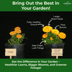 10-10-10 Plant Fertilizer Slow Release - 10 10 10 All Purpose Granular Garden Fertilizer for Vegetables, Tomato, Arborvitae, Shrubs, Rose, Flowers, Fruit, Fig Trees (1 Quart)