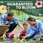 Shade Tolerant Mix – 2,500 Wildflower Seeds for Pollinator Gardens – 2026 Season – 5-Gram Pouch