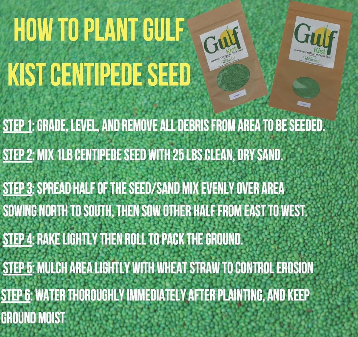 Centipede Grass Seed for a Dense Green Lawn, NO Mulch, 1 lb Coated Seeds, Sun and Moderate Shade Tolerant Lawn Seeding and Turf Patch Repair, Southern Southeast US, Low Fertilizer Low Maintenance