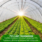 Farm Plastic Supply - Clear Coolmax Greenhouse Plastic Sheeting - 6 Mil - 4 Year UV Resistant Infrared Anti-Condensate Green House Covering Thermal Greenhouse Plastic 6 mil (20' x 60')