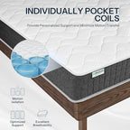 Life Balance Hybrid 10 Inch King Size Mattress, Medium Firm, Supportive Foam & Innerspring Coils, Pressure Relief & Spinal Alignment, Mattress in a Box, Made in USA, CertiPUR-US Certified, CE-10-K