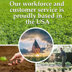 Summer Garden Heirloom Vegetable Seeds - ~5,000+ Total Seeds, 7 Varieties of Seed to Sow in Summer Months - Beet, Lettuce, Radish, Basil, Cabbage, Cucumber, & Squash Heirloom Seed for Planting