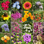 Ferry-Morse Cool Season Mix Bulk Wildflower Seeds, 1lb