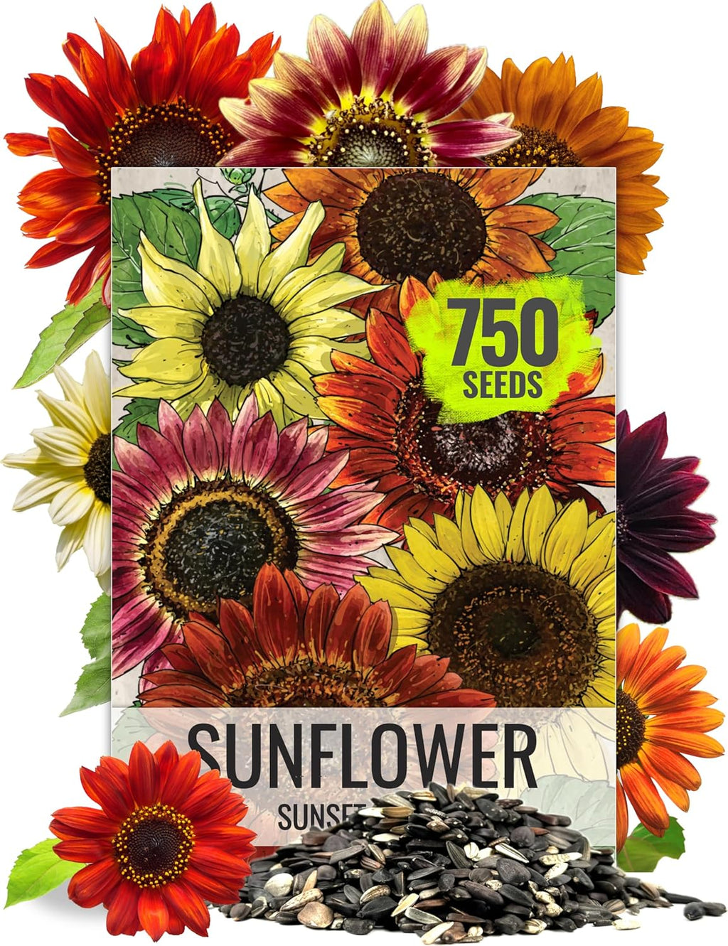 Seed Needs Sunflower Seeds to Plant Sunset Blend 7 Varieties Mix | 750+ Seeds Helianthus Annuus Heirloom Open Pollinated Bulk Flower Seed | Multicolored Sun Flowers Garden Favorite