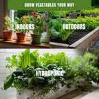 20 Vegetable Seeds For Planting Indoor Outdoor Variety Pack Home Garden Starter Kit Plant Marker 3900+ Non-GMO Heirloom Broccoli Cabbage Zucchini Cauliflower Pumpkin Celery Pea Cucumber Tomato Arugula