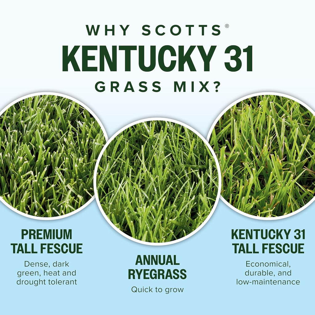 Scotts Kentucky 31 Grass Seed Mix for New Lawns or Overseeding, Grows Thicker and Greener vs. Other Kentucky 31 Mixes, Covers up to 10,000 sq. ft.