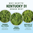 Scotts Kentucky 31 Grass Seed Mix for New Lawns or Overseeding, Grows Thicker and Greener vs. Other Kentucky 31 Mixes, Covers up to 10,000 sq. ft.