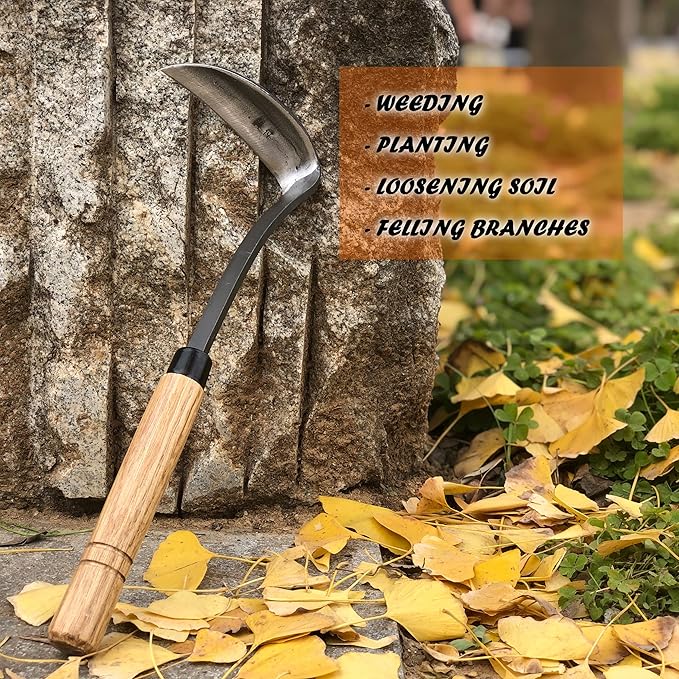 SHANFEEK Japanese Weeding Sickle Hoe Gardening Tools 13-Inch Weed Remover Tool High-Carbon Steel One-Piece Molding with Hard Solid Wood Handle(Snake-Necked)