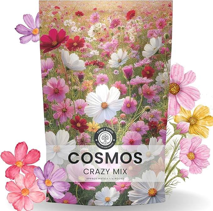 Crazy Cosmos Mix - Bulk 1/4 Pound Pouch - 20,000 Flower Seeds for Planting - Cosmos bipinnatus