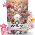 Crazy Cosmos Mix - Bulk 1/4 Pound Pouch - 20,000 Flower Seeds for Planting - Cosmos bipinnatus