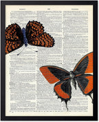 Poster Master Dictionary Art Poster - Butterflies Print - Moth Art - Butterfly Art - Insect Art - Gift for Men, Women & Animal Lover - Chic Decor for Living Room or Bedroom, 16x20 Black Framed