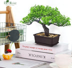 Der Rose 8'' Artificial Bonsai Tree Small Fake Potted Plants for Zen Japanese Home Office Desk Bathroom Shelf Decor